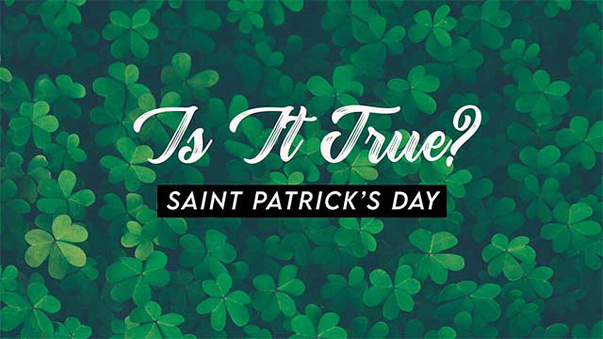 Is It True Saint Patrick's Day Edition image number null